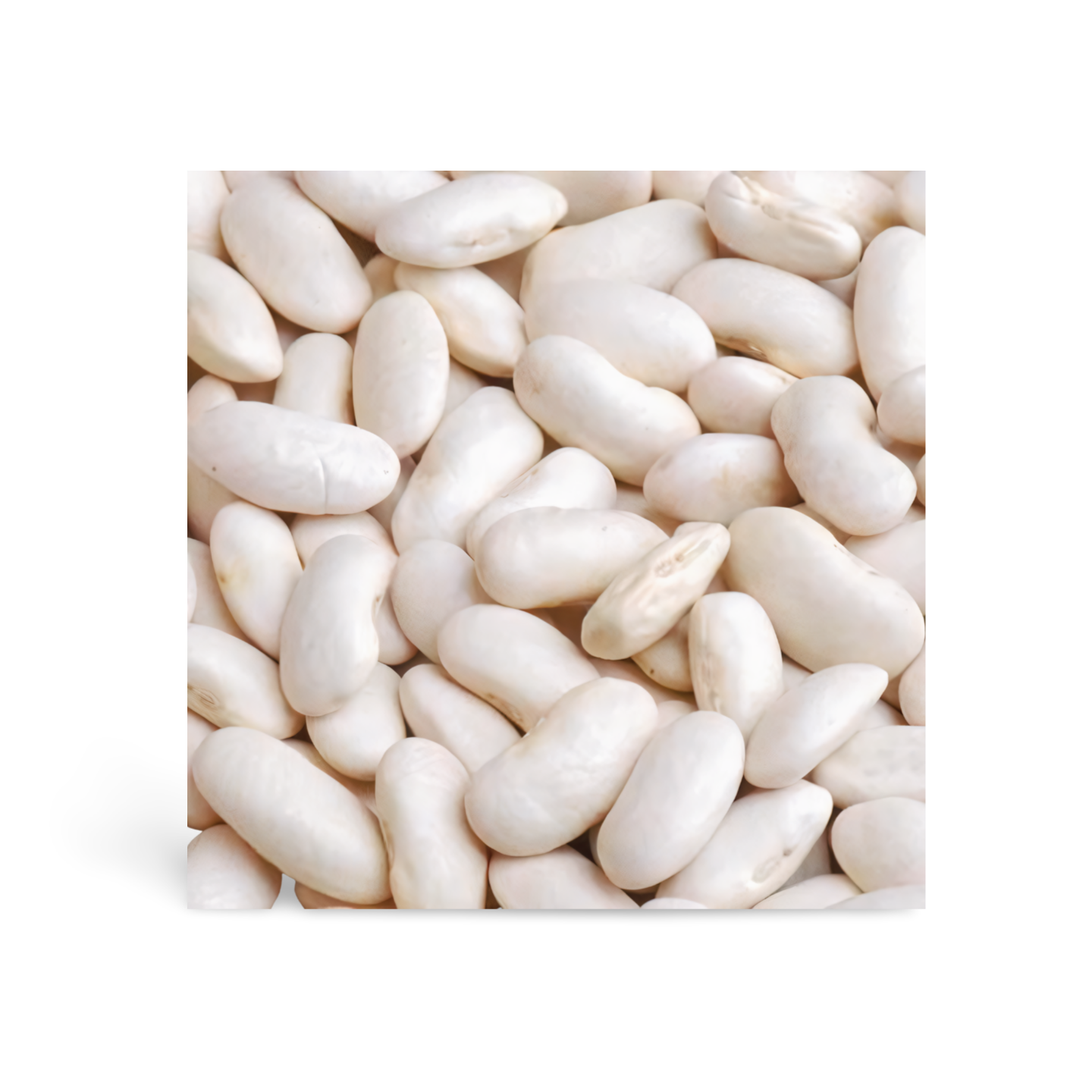 Dry White Kidney Beans 700g