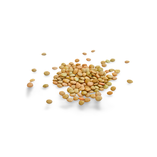 Brown Lentils 600g